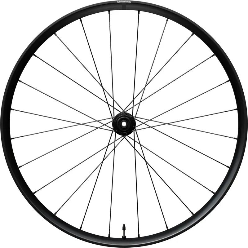 RX180 700C 11/12s 12x142mm HG Centre lock Disc Rear Wheel - tubeless ready